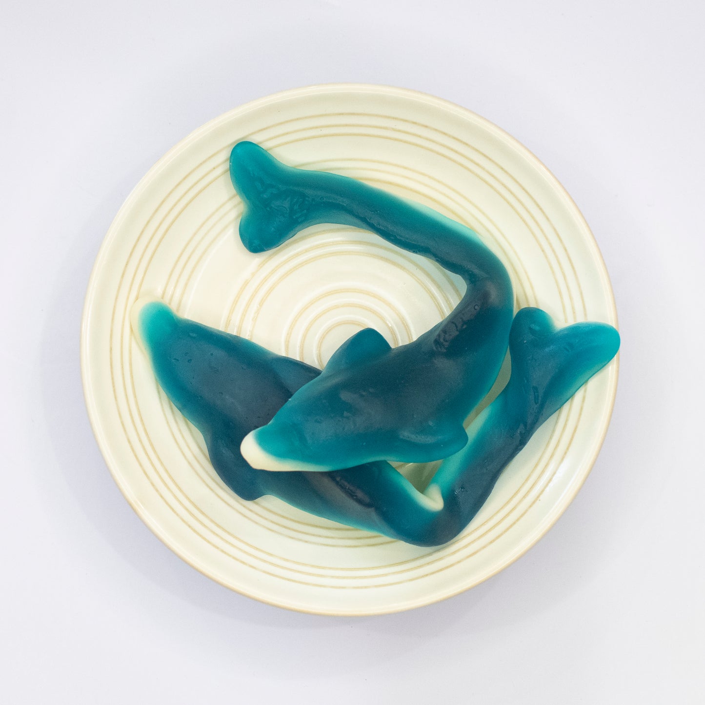 Giant Dolphins